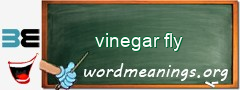 WordMeaning blackboard for vinegar fly